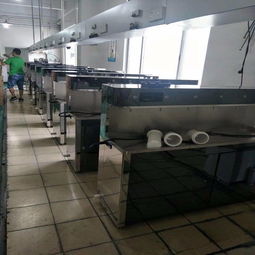湖北不锈钢冷热温饮水机 厂家直销、即热式开水器定制与恒温水箱优势解析